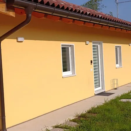 La Tana Della Gallina