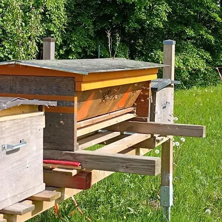 La Tana Della Gallina Feriehus *